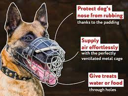 Need help with an aggressive dog? Get Belgian Malinois Wire Cage Muzzle