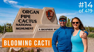 Organ pipe cactus national monuments. Organ Pipe Cactus National Monument Adventurous Way