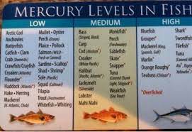 Mercury Levels In Fish Low Mercury Fish Pescatarian Diet Pescetarian Diet