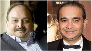 Food corporation of india (gujarat). Ed Brings Nirav Modi Mehul Choksi S Jewellery Worth Rs 1350 Crore To India India News India Tv