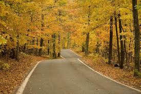 Michigan M 119 Tunnel Of Trees Tunnel Of Trees Michigan Michigan Incredible Places