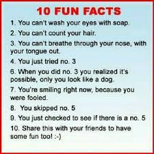 Funny Pics Humour Quotes Funny Jokes Jokes Funny Hilarious Funny Humor Funny For The Best Humour And Hilarious J Funny Facts Jokes And Riddles Fun Facts