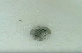 What causes a blocked shower drain. Got A Clogged Shower Drain This Natural Solution Will Unclog It For You In A Jiffy