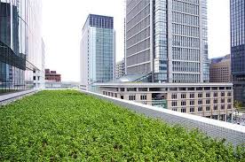 Urban Rooftop Garden Designs Changing City Architecture With Green Ideas