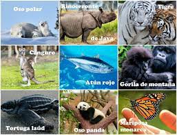 Pin En Eco