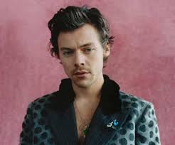 I later found out that he had been a carpenter and a dustman, other things. Harry Styles I M Not Just Sprinkling In Sexual Ambiguity To Be Interesting Harry Styles The Guardian