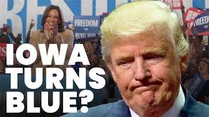 Inside a Pro-Trump Network Ready to Challenge the Election