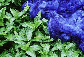 80ties retro sounds, disco elements, jazz and funk. How To Make Natural Blue Dye From Plants