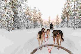 Winter wear finland rents clothing from the helsinki airport. Finnish Lapland In Winter Intrepid Travel