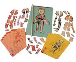 Hoja imprimible sobre el número 1 de iniciación a la prematemática y la preescritura para niños de preescolar. Juegos Para Conocer El Cuerpo Humano Educacion 3 0