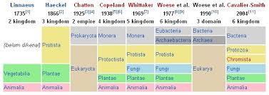 Klasifikasi makhluk hidup 6 kingdom terbagi menjadi kingdom eubacteria, kingdom archaebacteria, kingdom protista, kingdom fungi, kingdom plantae, dan kingdom animalia. Pengantar Ilmu Biologi Konsep Biologi