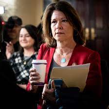 This comes ahead of congress voting on president joe biden's proposed infrastructure plan. Cheri Bustos Has Some Advice For Swing District Democrats The New York Times