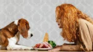 Like chicken bones, veterinary experts typically agree that pork bones aren't safe, whether they're cooked or raw. Can Dogs Eat Pork Healthy Paws