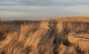 Es una empresa subsidiaria de ypfb corporación dedicada a la exploración y producción de hidrocarburos. Parque Nacional Quebrada Del Condorito Villa Carlos Paz