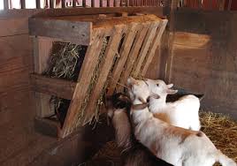 See more ideas about goat feeder, goat farming, goat barn. Diy Wood Pallet Goat Hay Feeder