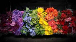 Wholesale flowers sacramento open to public. Wholesale Strelitzia Flower Company