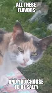 Many of the people in silicon valley are extremely liberal, to the point where they are completely biased and ridiculous in their beliefs and statements. All These Flavors And You Choose To Be Salty Imgflip