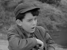 The BEST episodes written by Joe Connelly