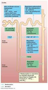 For example, a relatively small explosion,. Pin On Knowledge