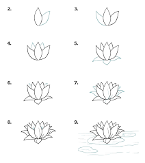 Wie Man Ein Wasser Lilly Einfache Rose Zeichnung Schritt Fur Schritt Diy Tutorial Zu Zeichn In 2020 Easy Flower Drawings Flower Drawing Tutorials Simple Flower Drawing