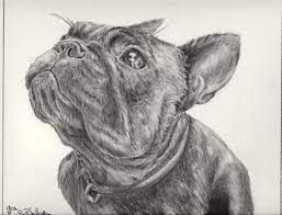 So the cool thing about the technique that i teach is it's what i call the three layered methods. French Bulldog 2 By Preita On Deviantart