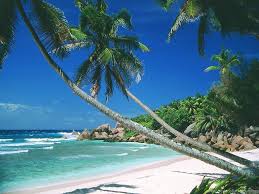 Background images for commercial use. Wallpapers Pantai Free Two Palms Over The Beach And Goa Beach Background For Editing 1024x768 Wallpaper Teahub Io