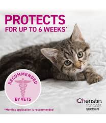 Look at pictures of kittens in portland who need a home. Cheristin Flea Treatment For Cats Pet Supplies Plus