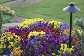 Awesome Rain Gutter Gardens In 2020 Annual Garden Annual Plants Flower Garden Design