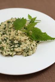 Check spelling or type a new query. Risotto Alle Ortiche Un Pinguino In Cucina