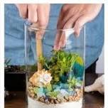 Adult Workshop: Summer Terrarium