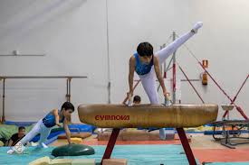 La Gimnasia Artística Masculina del CGB - Club Gimnasia Burgos