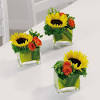 Huge savings on silk flowers with jan. 1