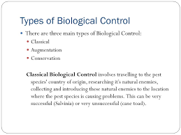 Biological control methods use living organisms such as natural predators, parasites and pathogens to control pest populations on garden plants. Topic 4 Lesson 1 Biological Control Ppt Video Online Download