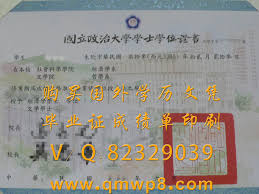 台湾国立政治大学毕业证文凭学士学位证书 periodic table diagram