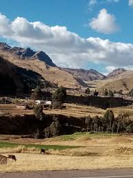 Profile for Carpinteria