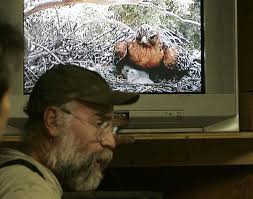 O.C. birds in good hands