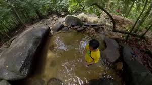 Hutan hujan tropika di semenanjung malaysia adalah merupakan salah satu ekosistem yang sangat kompleks di dunia. Hutan Lipur Air Terjun Menderu Terengganu Youtube