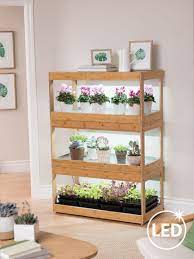 Last updated june 13, 2020 by steven leave a comment. Bamboo Led Grow Light Garden For Succulents And Seeds Grow Lights For Plants Bamboo Plants Indoor Greenhouse