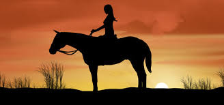 Follow us for regular updates on awesome new wallpapers! Horse Background Photos Vectors And Psd Files For Free Download Pngtree