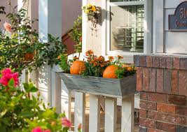 Yes, they can give your window a fancy makeover. Fall Window Box Ideas Tricks Treats Hooks Lattice Blog