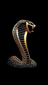 Shelby Cobra Logo Iphone 5 5c 5s Wallpaper Ford Mustang Shelby Gt500 Ford Mustang Shelby Mustang Shelby