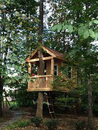 Simple Diy Treehouse For Kids Play 45 Tree House Diy Tree House Designs Simple Tree House