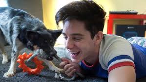 a lazy q&a with my dog