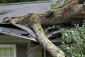 Enter zip for free quotes. Advice On Filing An Insurance Claim For Damaged Roofs