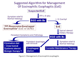 Eosinophilic Esophagitis Cancer Therapy Advisor