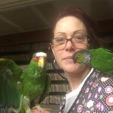 Where to buy black capped conure in SoCal?