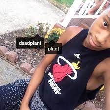 Producer A Producer Is An Organism That Makes Its Own Food From Inorganic Molecules Through The Steps Of Photosynt Chemical Energy Photosynthesis Light Energy