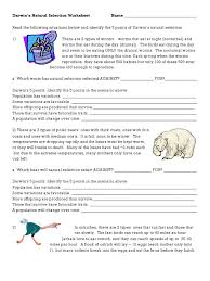 C) bob believes that giraffes have long necks because they have stretched their. Darwins Natural Selection Worksheet Natural Selection Bears