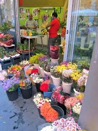 Online flower delivery at no hidden cost. Italian Flower Shop Flower Shop Italian Flowers Beautiful Flowers
