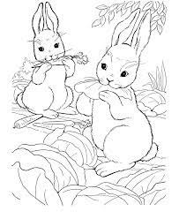 25 rubber duck coloring page pictures. Pin On Coloring Animals